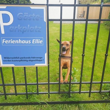 Ferienhaus Ellie Haffkrug Ngoại thất bức ảnh